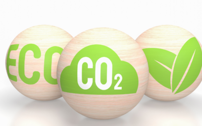 Reducing Your Carbon Footprint: The Responsibilities of Companies